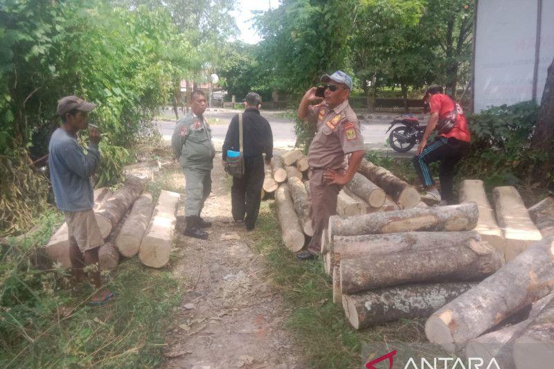 Penebang Pohon di Lahan Milik Pemkab Sukabumi Diperiksa Satpol PP