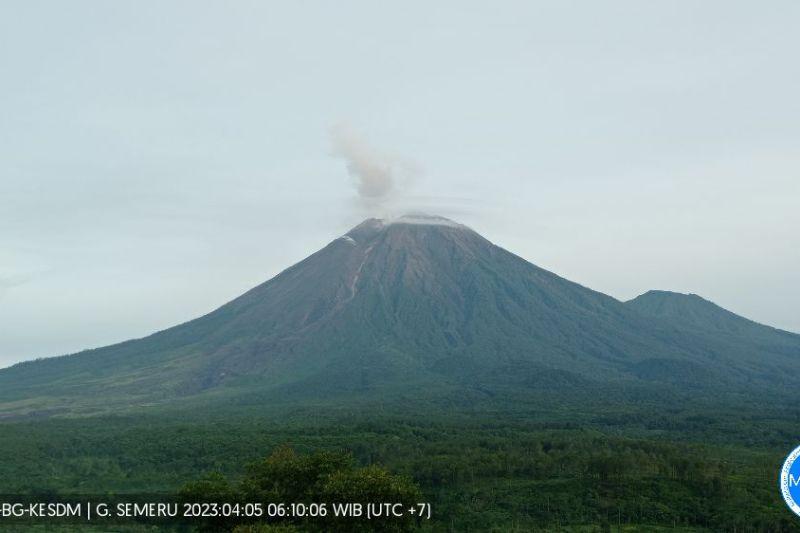 Gunung Semeru Alami 14 Kali Gempa Letusan Hari Ini