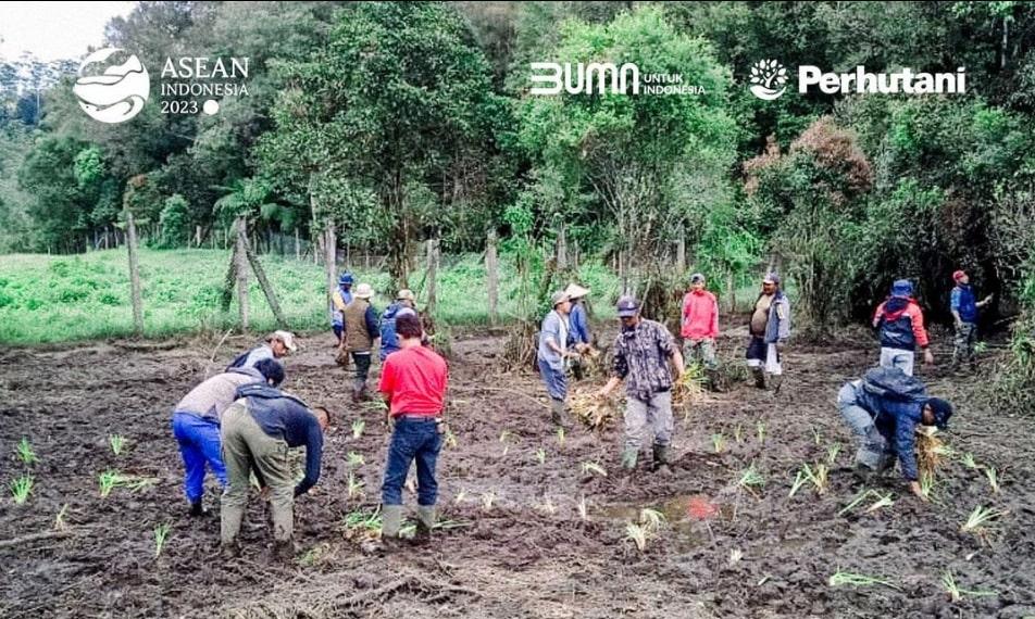 Perhutani Rehabilitasi Kawasan Ranca Upas Imbas Kasus Komunitas Motor Trail Rusak Lahan Edelweiss