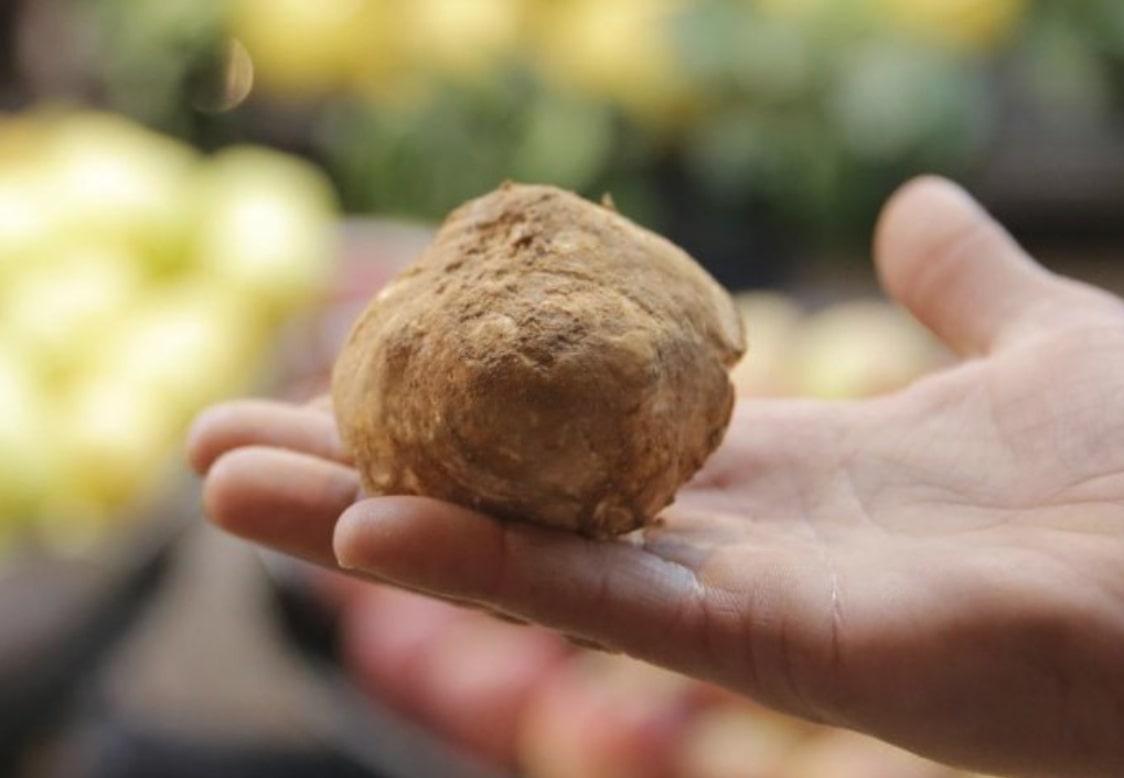 Seorang Pemburu Jamur Truffle Tewas Ditembak Pejuang ISIS di Gurun Suriah