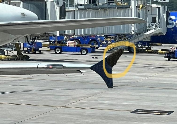 Penerbangan Houston-Atlanta Tertunda 3 Jam gegara Kerumunan Lebah di Sayap Pesawat
