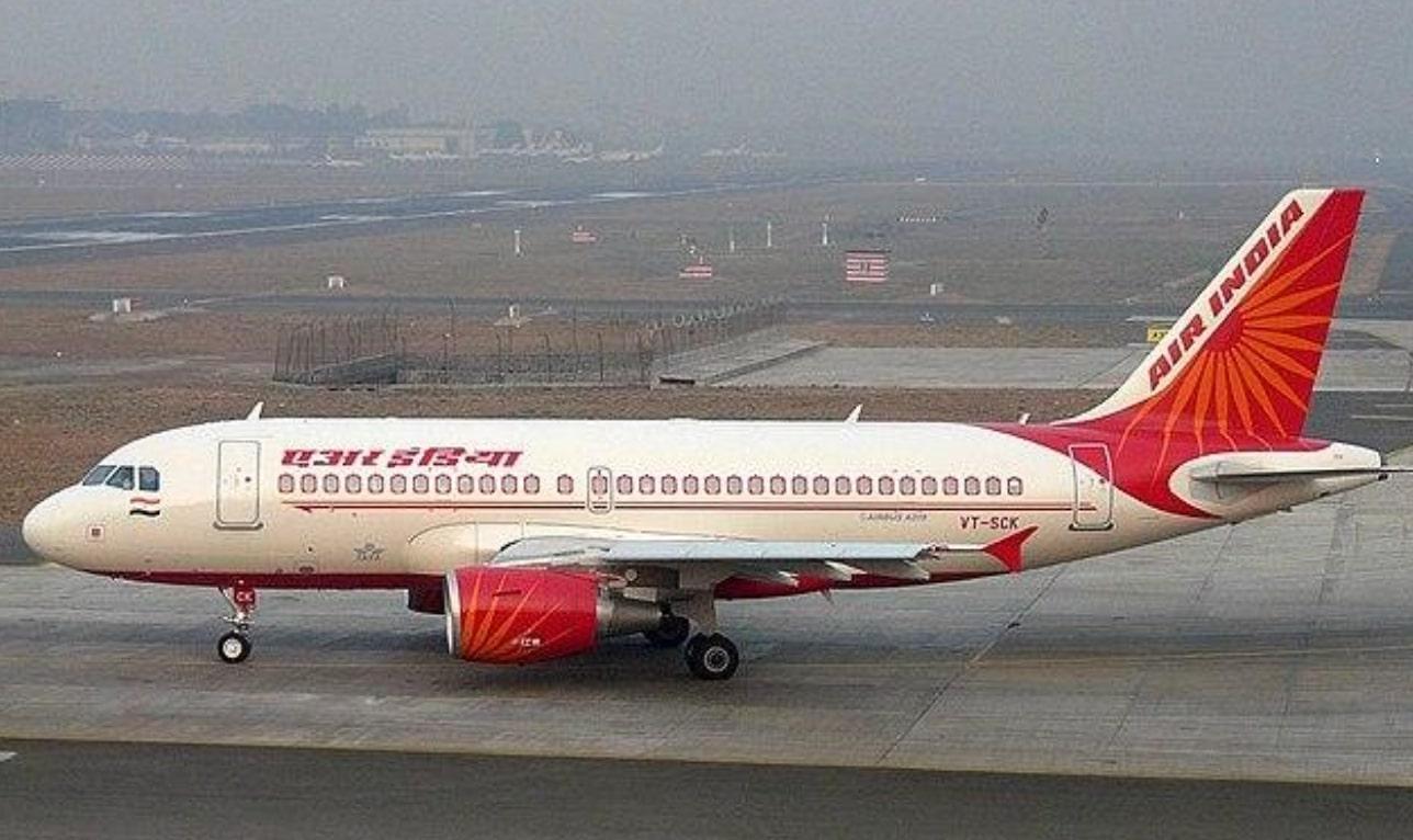 Waduh! Wanita Ini Disengat Kalajengking saat Naik Pesawat Air India