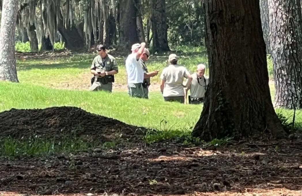 Tragis! Nenek 69 Tahun di South Carolina Tewas Diserang Buaya