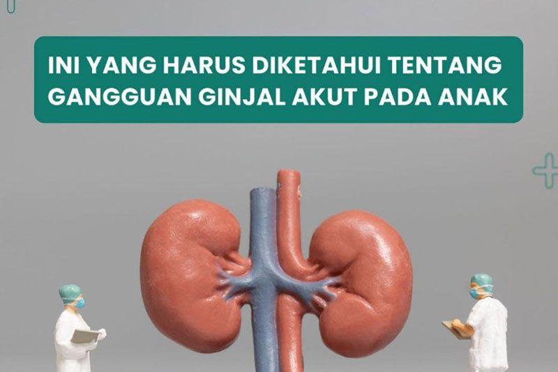 IDAI: Dua Batita di NTT Meninggal Dunia Akibat Gejala Gagal Ginjal Akut