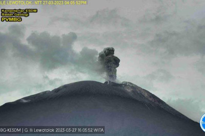 Gunung Ili Lewotolok Muntahkan Abu Setinggi 750 Meter