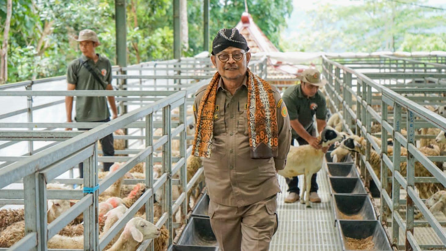 Minta Mentan Perbaiki Penyaluran Pupuk Subsidi, Jokowi Kasih Waktu Maksimal 3 Bulan