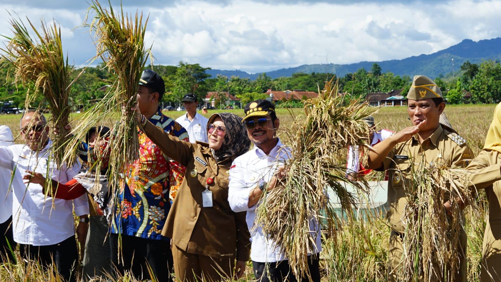 Mentan SYL Bersyukur Klaten Panen Padi IP400, Segera Perluas ke Daerah Lain