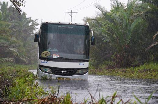 Pengamat Transportasi: 52 Persen Transportasi Daerah Rusak