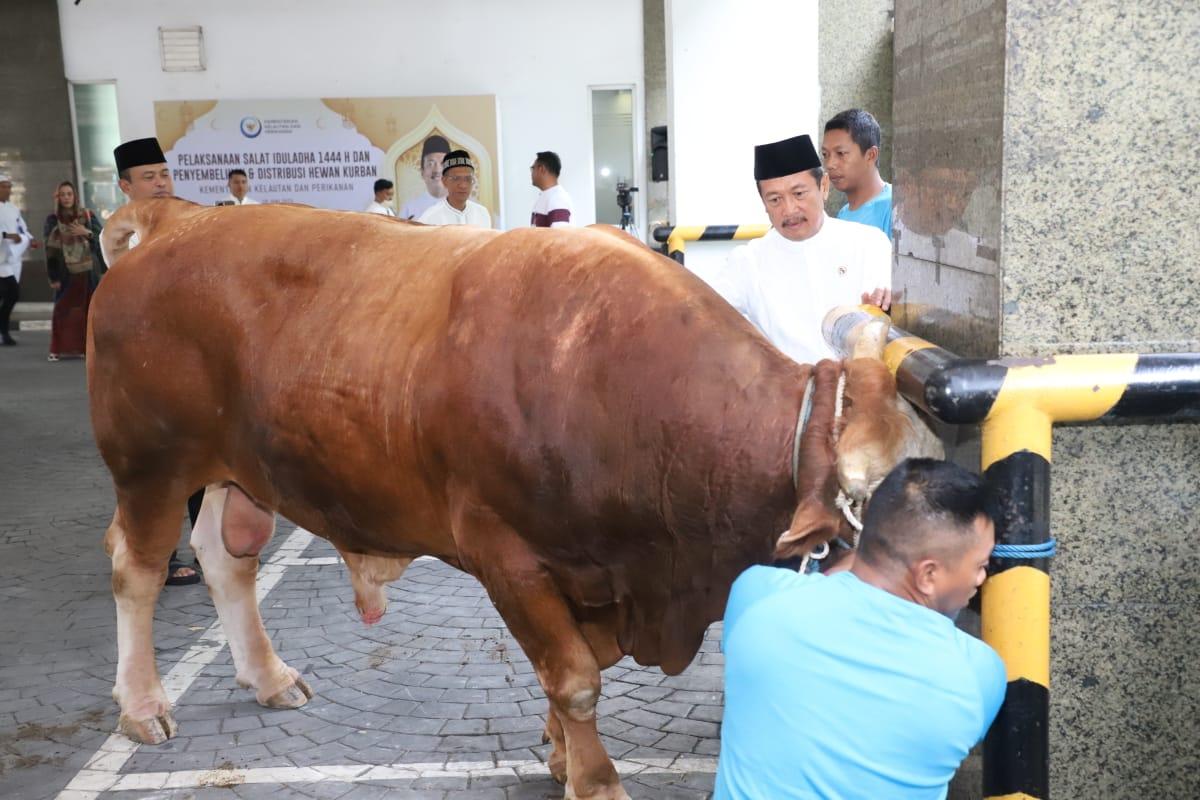 Menteri Trenggono Salat Id Bersama Pegawai dan Kurban Sapi Simental 1,2 Ton