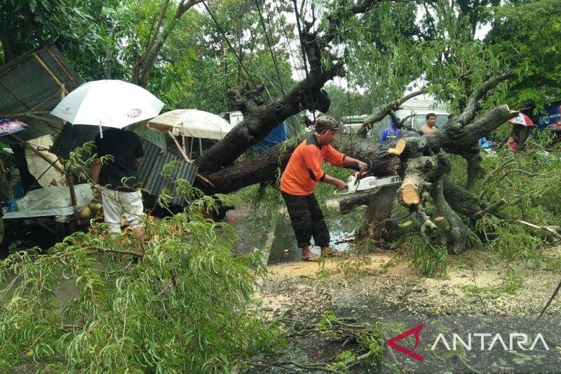 Hujan Deras dan Angin Kencang Rusaki Enam Rumah di Pamekasan