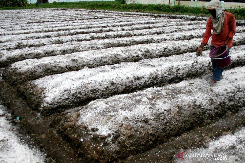 Hari Tanah Se-Dunia 2022: Atasi Malnutrisi dengan Tanah