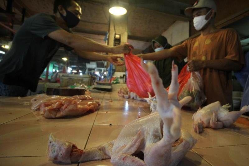 Duh! Harga Daging Ayam di Depok Naik Jelang Iduladha, Tembus Rp60 Ribu