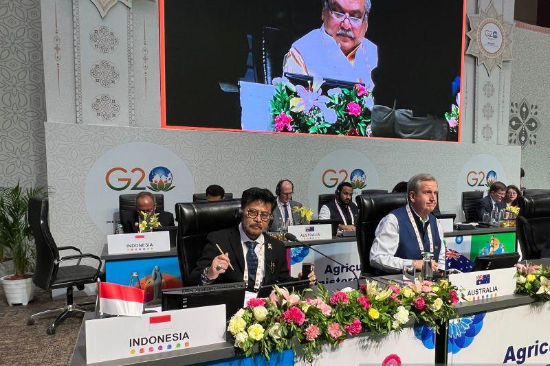 Mentan Syahrul Yasin Limpo Sukses Lobi Korea soal Pertanian Modren di Pertemuan G20 India