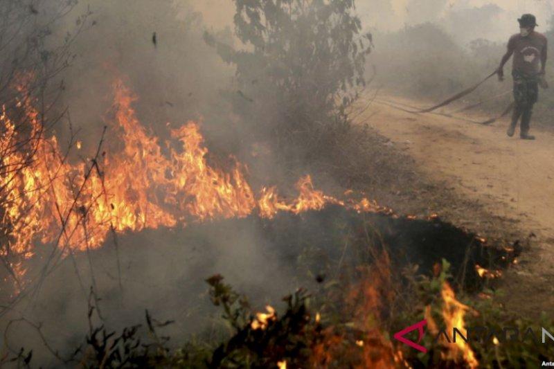 Delapan Daerah di NTT Rawan Terjadi Kebakaran Hutan dan Lahan