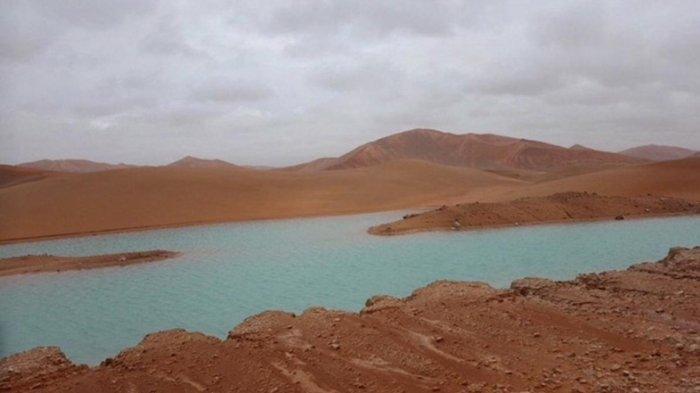 Penampakan Danau di Gurun Pasir Arab Saudi Setelah Pegunungan Menghijau
