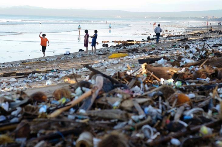 Gara-gara Viral di Medsos, Pemprov DKI Bersihkan Sampah di Pantai Mangrove Muara Angke