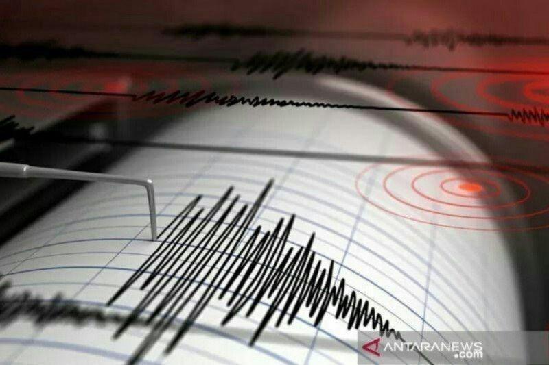 Gempa Bumi Bermagnitudo 4,8 Guncang Morowali
