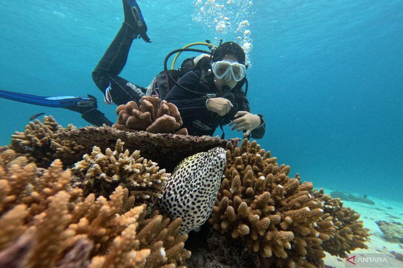 Melirik Cuan dari Bisnis Bawah Laut