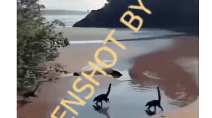 Heboh Video Anak Dinosaurus Berkeliaran, Cek Faktanya