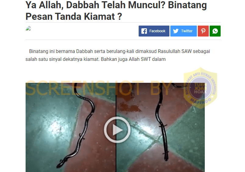 Ya Allah Dabbah Telah Muncul, Binatang Pembawa Pesan Tanda Kiamat, Cek Faktanya