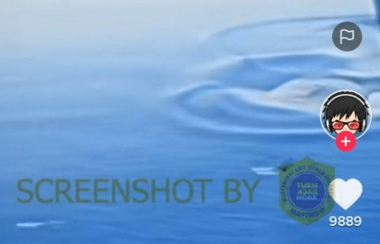 Video Penampakan Ikan Paus yang Telan Nabi Yunus, Cek Faktanya