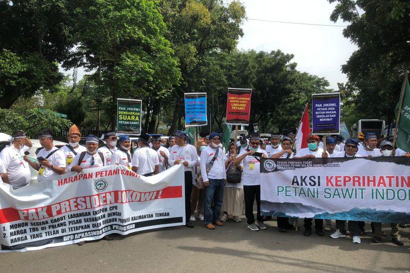 Asosiasi Petani Sawit Sampaikan Lima Tuntutan di Depan Gedung Kemenko Perekonomian