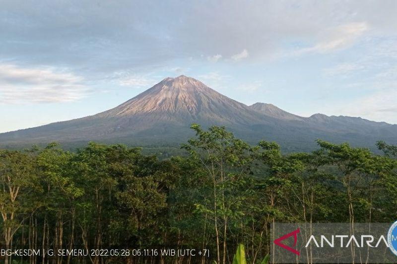 Gunung Semeru Alami Beberapa Kali Letusan Sabtu Ini