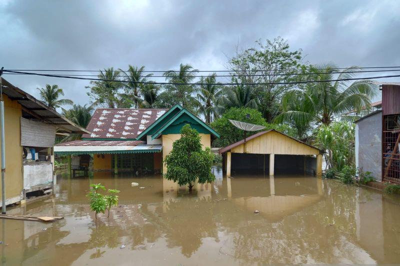 Banjir Rendam Pemukiman Warga di Sungai Serut Bengkulu