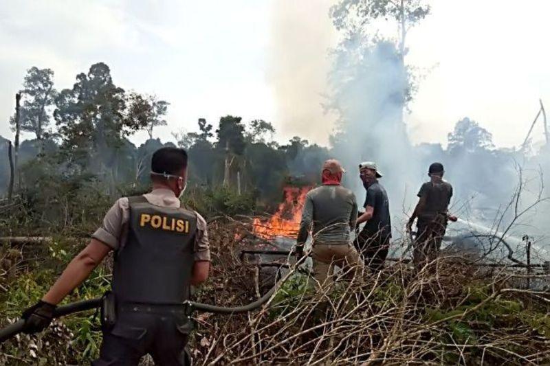 Polda Riau Tangkap Sembilan Pelaku Karhutla Seluas Ratusan Hektar