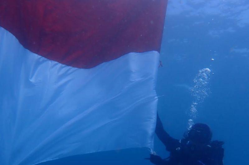 Mengharukan! 77 Penyelam Kibarkan Bendera dan 178 Tukik di Taman Laut Pandanan Lombok