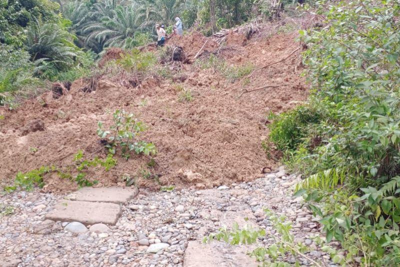 Empat Truk Bermuatan Sawit Tertimbun di Mukomuko karena Terjebak Longsor