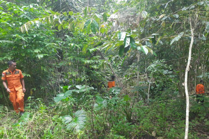 Basarnas Hentikan Pencarian Kakek Hilang di Perkebunan Mandengan Tomohon