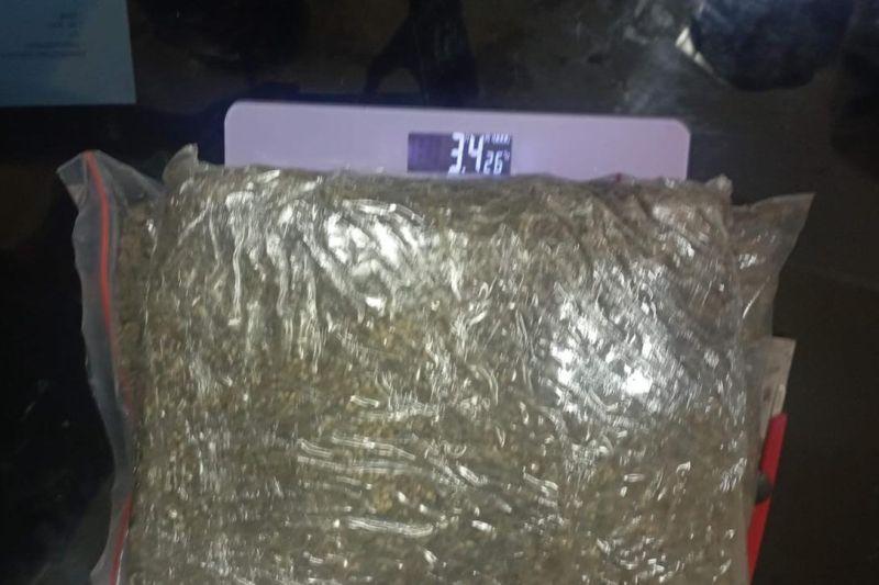 Polres Sigi Amankan 3,4 Kilogram Ganja di Desa Tulo Sulteng