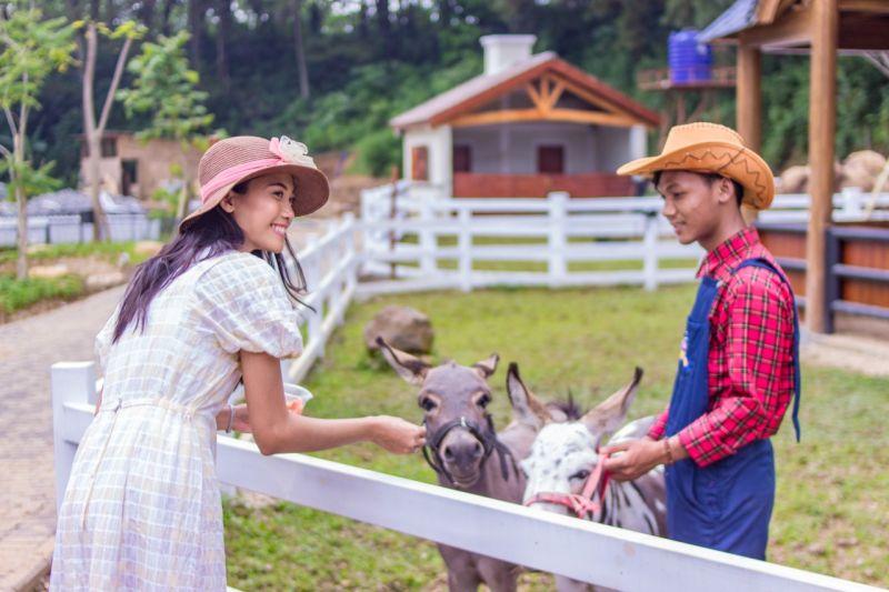 Wah, Destinasi Wisata Cimory akan Ganti Nama Jadi Dairyland