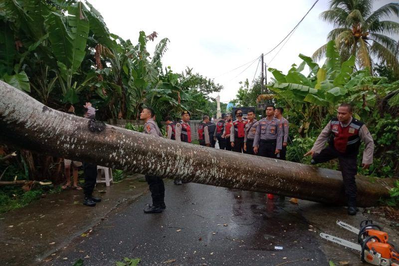Seorang Ibu di Lombok Barat Tewas Tertimpa Pohon Tumbang