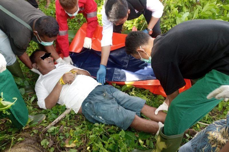 Polisi Selidiki Temuan Mayat Pria Tak Beridentitas di Kebun Mandau Bengkalis