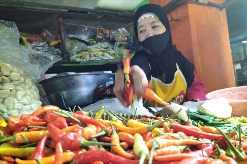 Harga Cabai Merah Terjun Rp40.000 di Sumbar