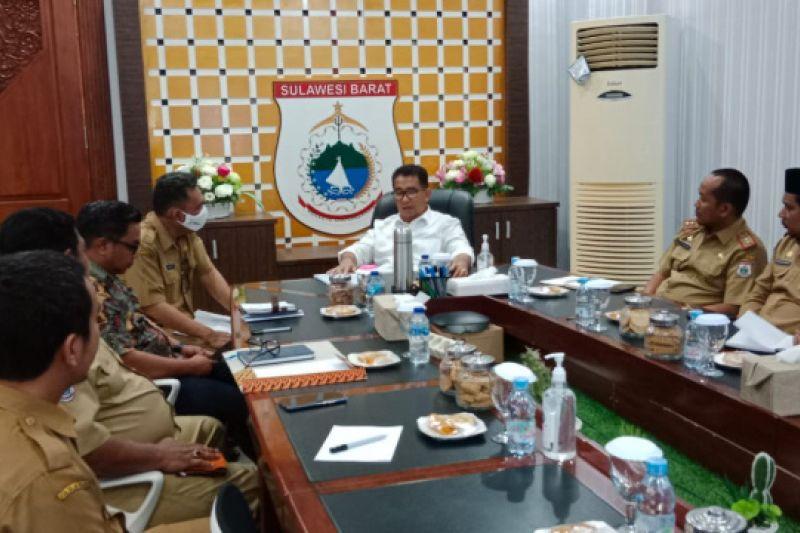 Presiden Jokowi Sumbang Sapi Kurban Berbobot 1 Ton Lebih untuk Masyarakat Mamuju