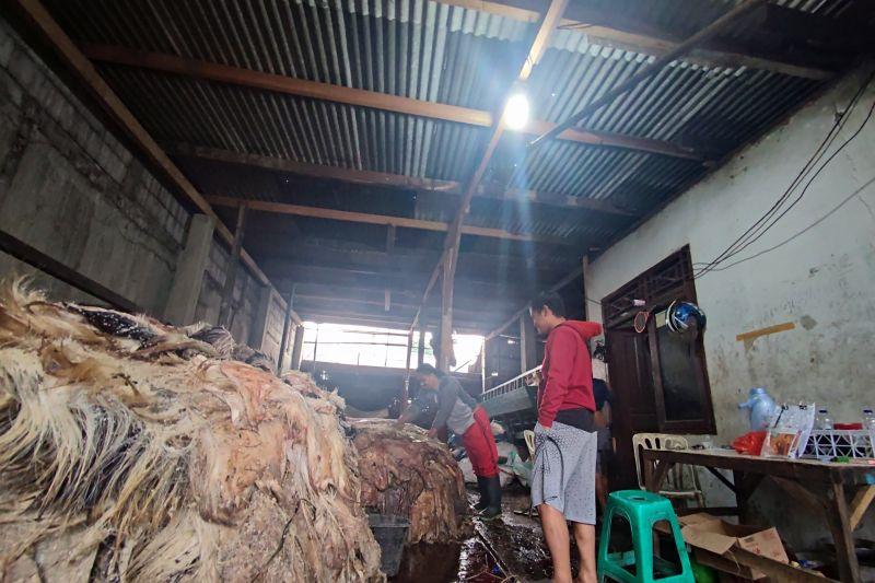 Berkah Lebaran Haji, Kulit Hewan Kurban Bisa Jadi Cuan
