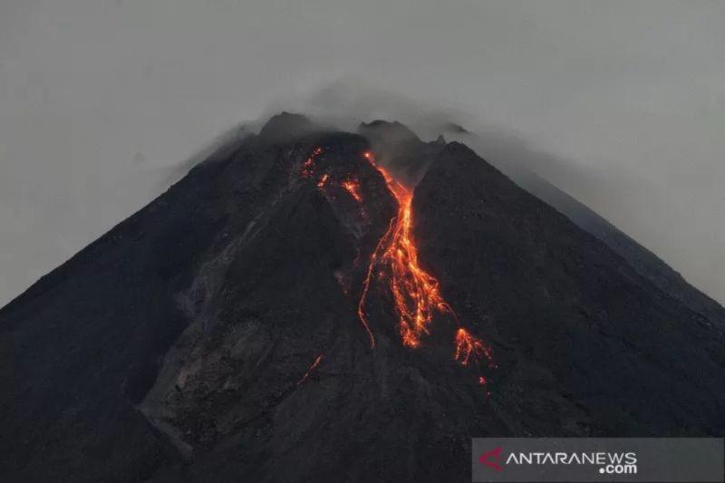 Berstatus Siaga! Gunung Merapi Luncurkan Lava Pijar Sejauh 1,8 Kilometer
