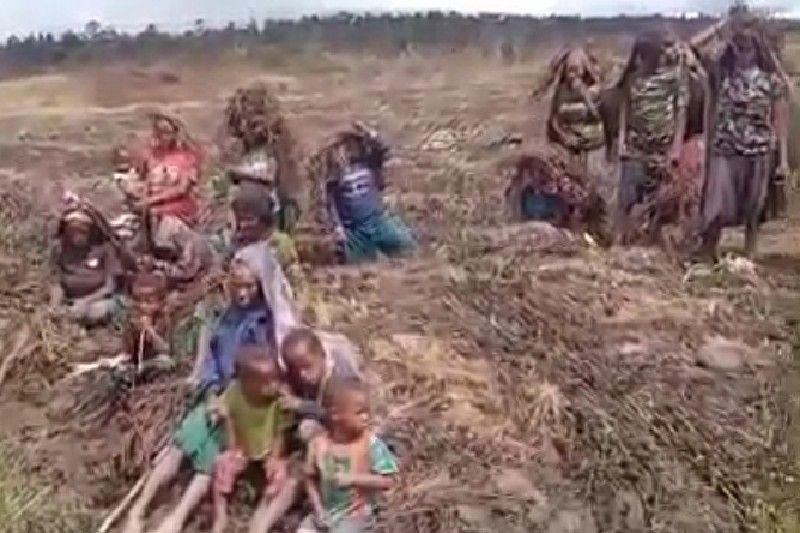 BPBD Papua: Kuyawage Alami Bencana Embun Beku hingga Tewaskan Empat Orang