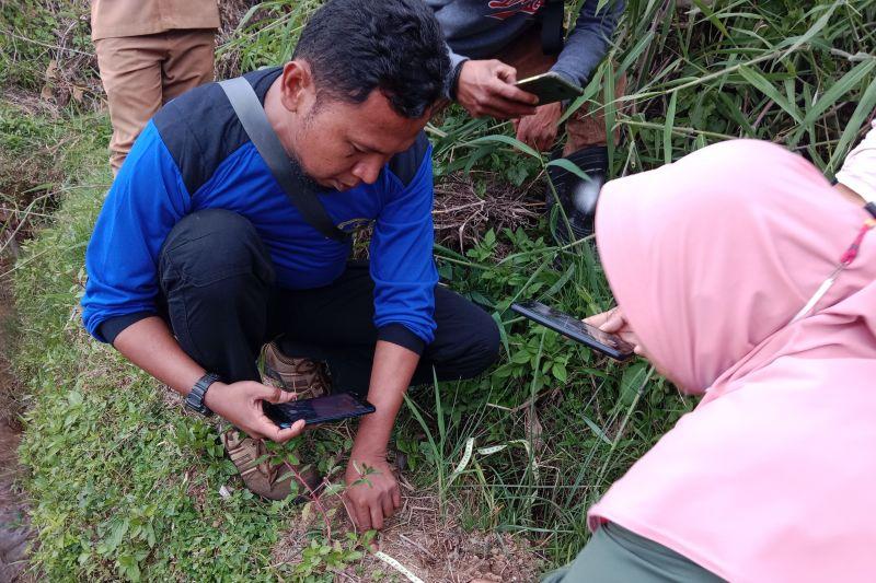 Lagi! Anjing di Agam Sumbar Dimangsa Harimau Sumatera