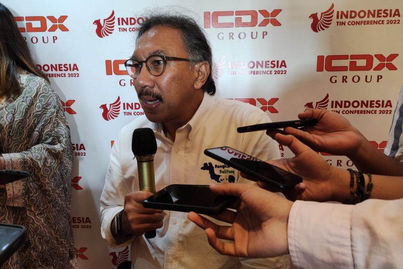 Kementerian ESDM Ungkap Alasan Rencana Pelarangan Ekspor Timah