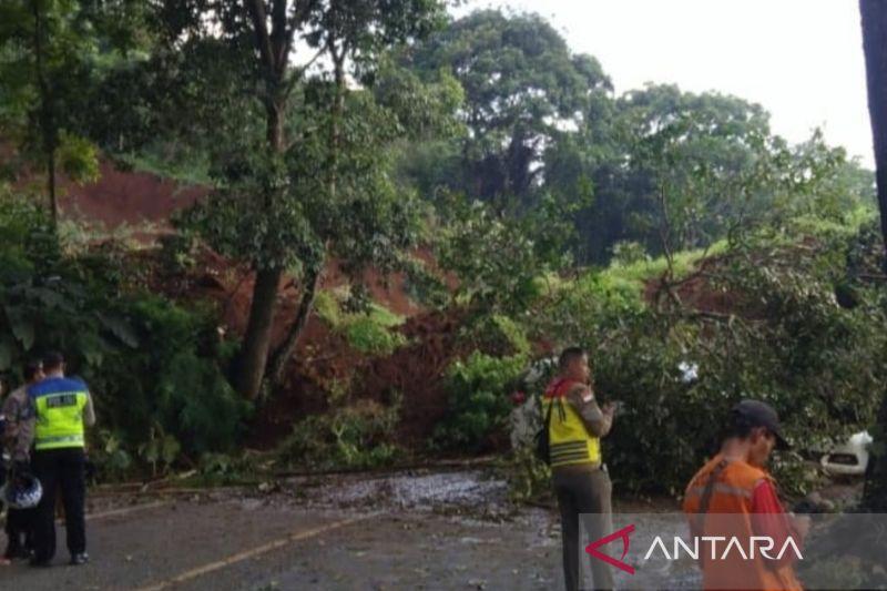 Sempat Longsor Gara-gara Gempa, Akhirnya Jalur Puncak Arah Cianjur Sudah Bisa Dilewati