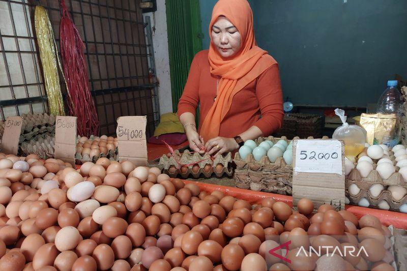 Jelang Natal, Harga Daging dan Telur Ayam di Bengkulu Naik