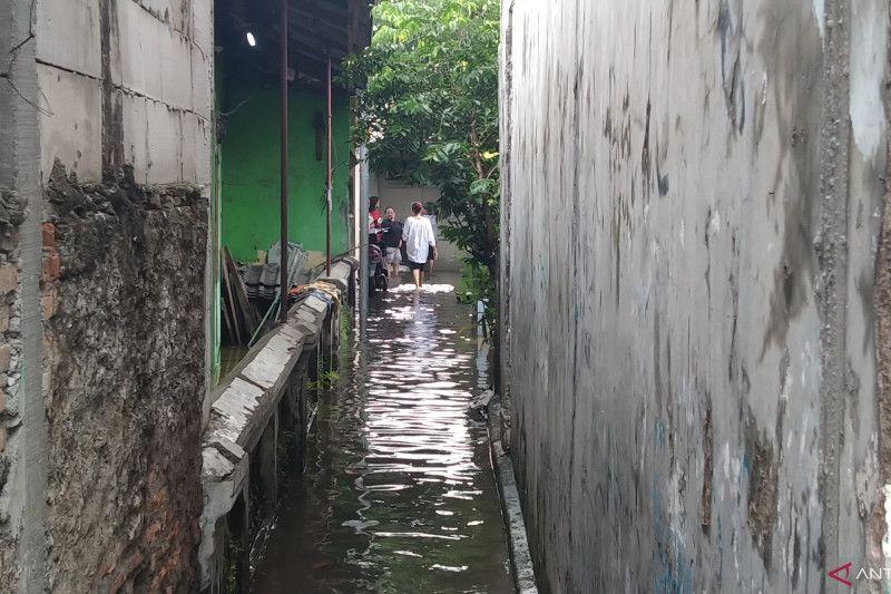 Banjir Jakarta Kian Meluas, BPBD DKI Kerahkan 267 Tim Reaksi Cepat