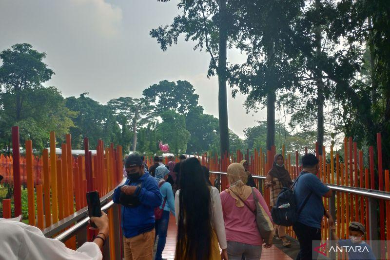 Biar Gak Bikin Macet, PKL Dapat Jatah Lahan Jualan Dekat Tebet Eco Park