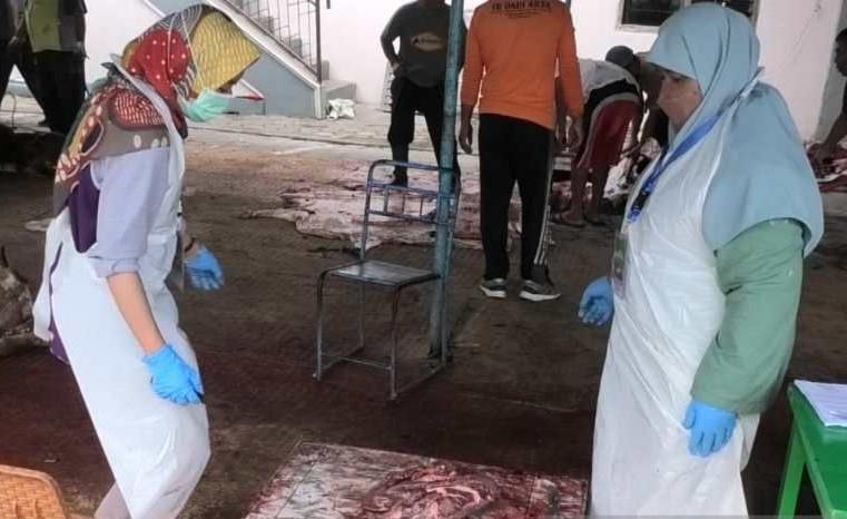 Sapi Kurban di Temanggung Ditemukan Terinfeksi Cacing Hati