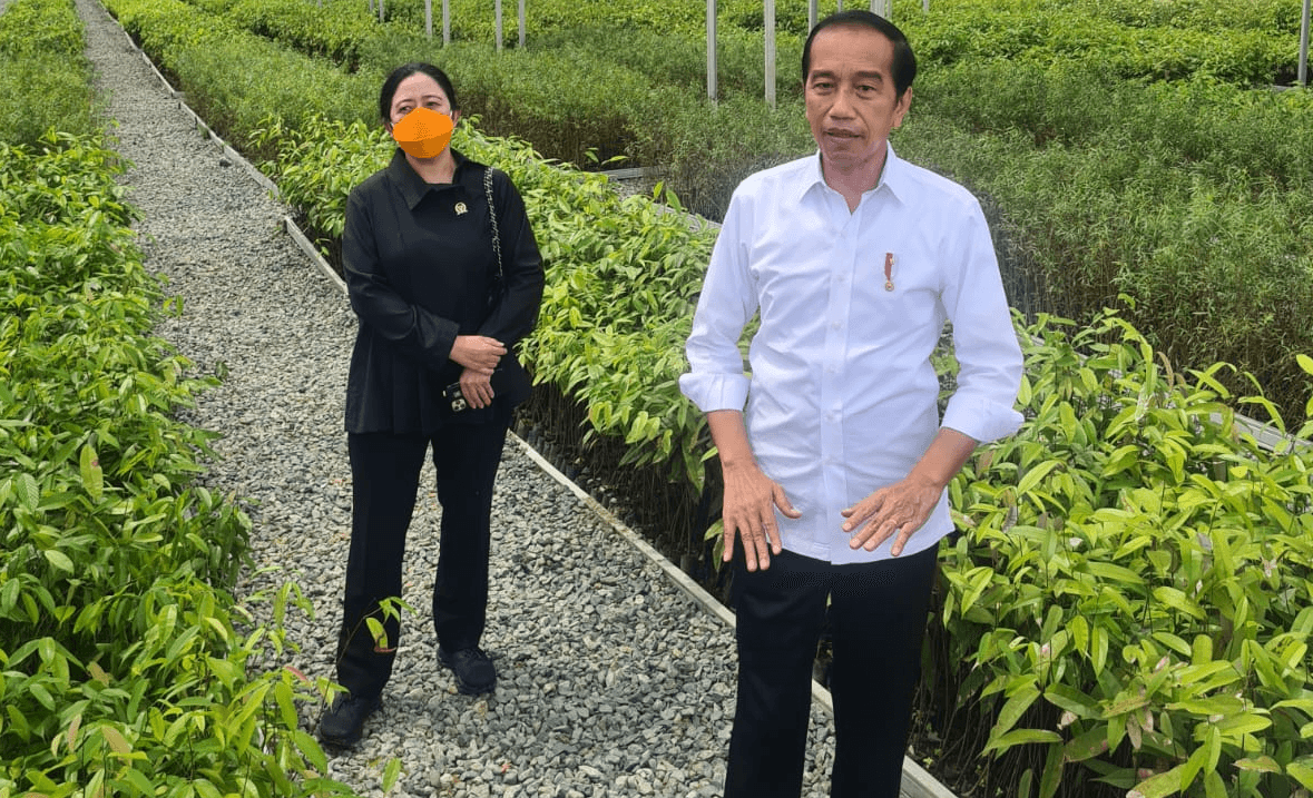 Serius Pindahkan Ibu Kota, Jokowi akan Kunjungi Setiap 3 Bulan Sekali