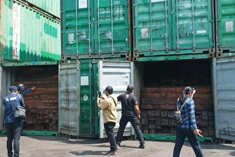 KLHK Bongkar Peredaran Kayu Merbau Ilegal Sebanyak 57 Kontainer Asal Papua